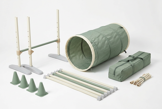 Cream and sage dog agility equipment on white