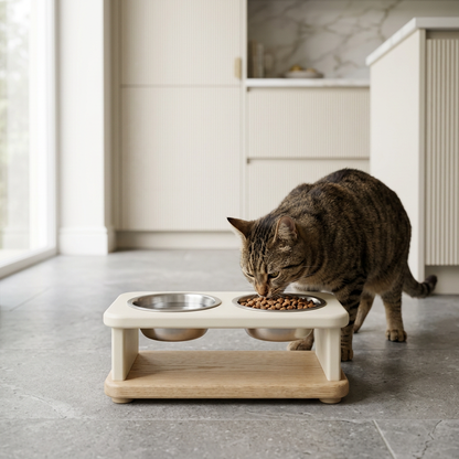 Tabby cat eating from the elevated feeding station